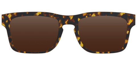 The Polarized Tortoise Sun Top