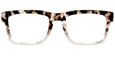 The Vanilla Latte Tortoise