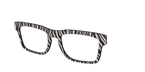 The Zebra Stripes