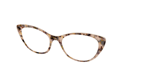 The Almond Tortoise with Gold Streaks