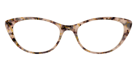 The Almond Tortoise with Gold Streaks