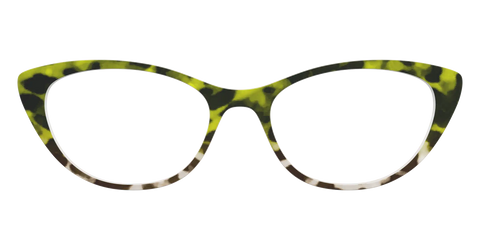 The Avocado to Ivory Tortoise