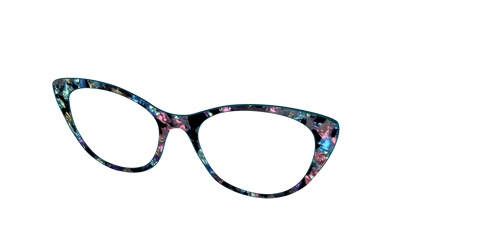 The Black Prismatic Pearl Tortoise