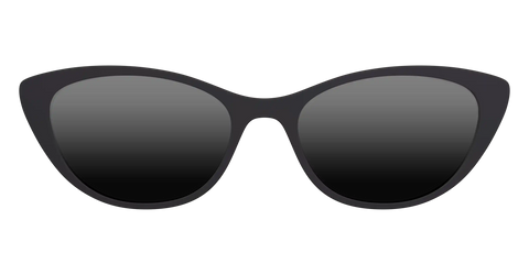 The Polarized Black Sun Top