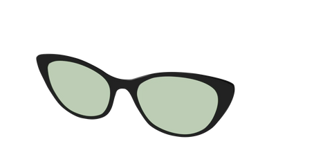 The Black With Sage Green Lens