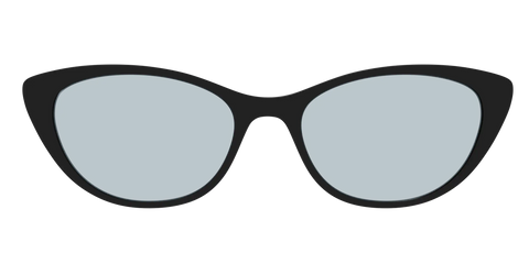 The Black With Slate Blue Lens