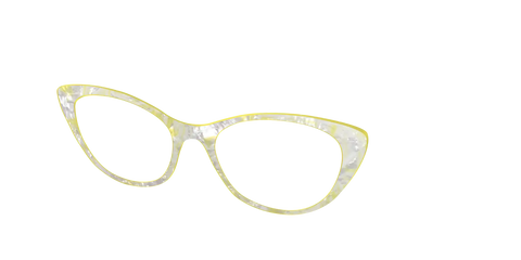 The Buttercup Pearl Tortoise