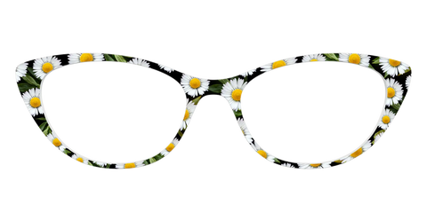 The Delicate Daisies