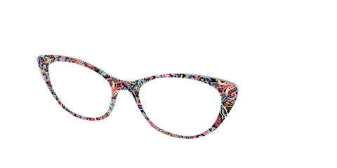 The Lavish Paisley