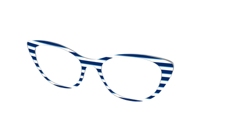 The Navy Stripes