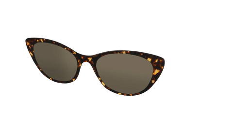 The Non-Polarized Tortoise Sun Top