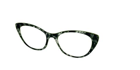 The Olive Pearl Tortoise