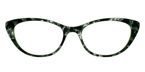 The Olive Pearl Tortoise