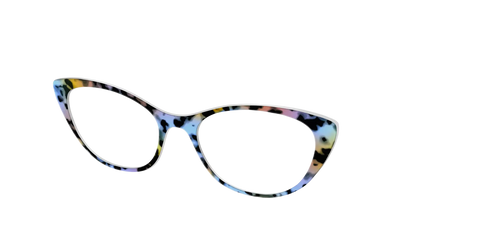 The Positano Tortoise