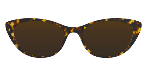 The Polarized Tortoise Sun Top
