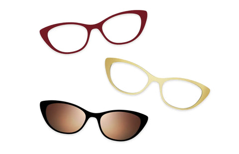 Tortoise - Set