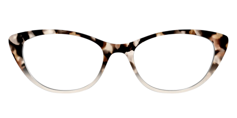 The Vanilla Latte Tortoise
