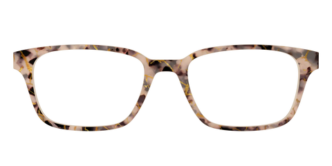 The Almond Tortoise with Gold Streaks