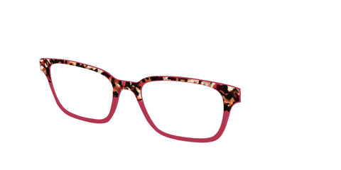 The Auburn Tortoise Crystal Split