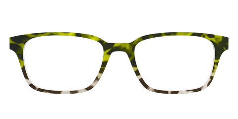 The Avocado to Ivory Tortoise