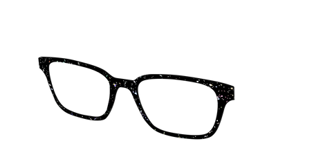 The Black Holographic Flakes