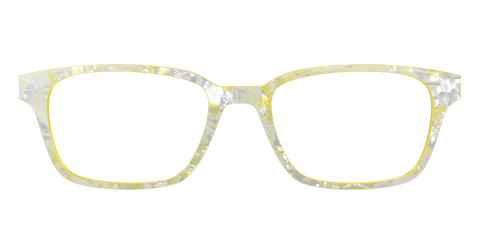 The Buttercup Pearl Tortoise