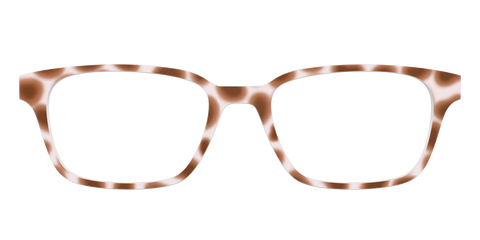 The Caffé Tortoise