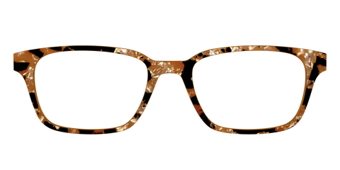 The Caramel Pearl Tortoise