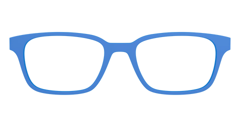 The Cornflower Blue