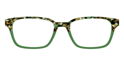 The Forest Tortoise Crystal Split
