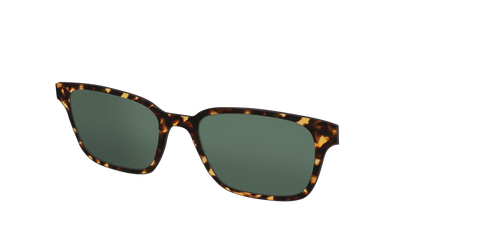 The Non-Polarized Green Tortoise Sun Top