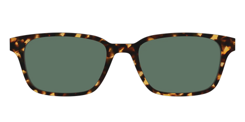 The Non-Polarized Green Tortoise Sun Top