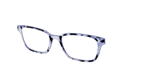 The Lilac Pearl Tortoise