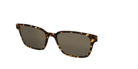 The Non-Polarized Tortoise Sun Top