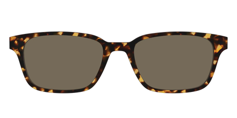 The Non-Polarized Tortoise Sun Top