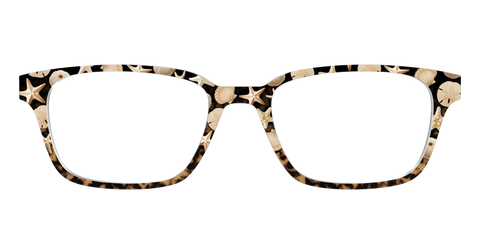 The Ocean Treasures Tortoise