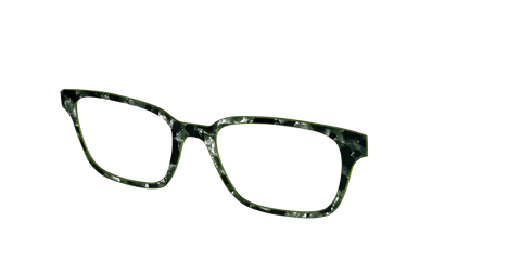 The Olive Pearl Tortoise