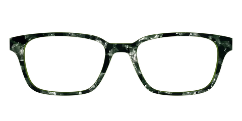 The Olive Pearl Tortoise