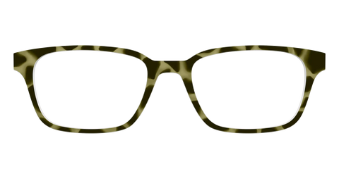 The Olive Tortoise