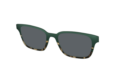 The Polarized Spruce Tortoise Sun Top