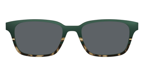The Polarized Spruce Tortoise Sun Top