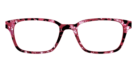 The Raspberry Pearl Tortoise