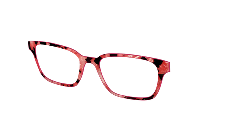 The Red Agate Pearl Tortoise