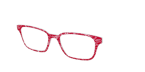 The Red Wings® Ice