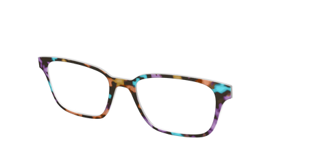 The Summer Tortoise