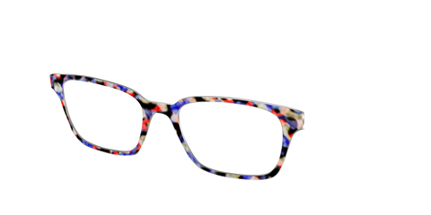 The Tempo Tortoise