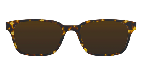The Polarized Tortoise Sun Top