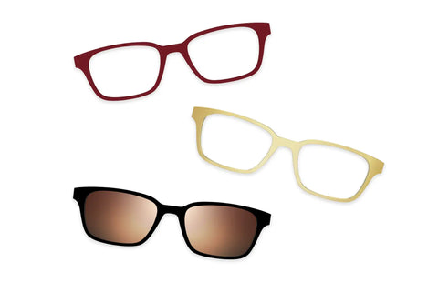 Tortoise - Set