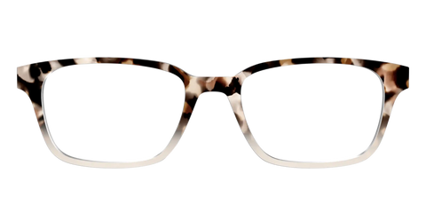 The Vanilla Latte Tortoise