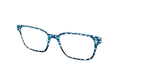 The Whale Shark Spots